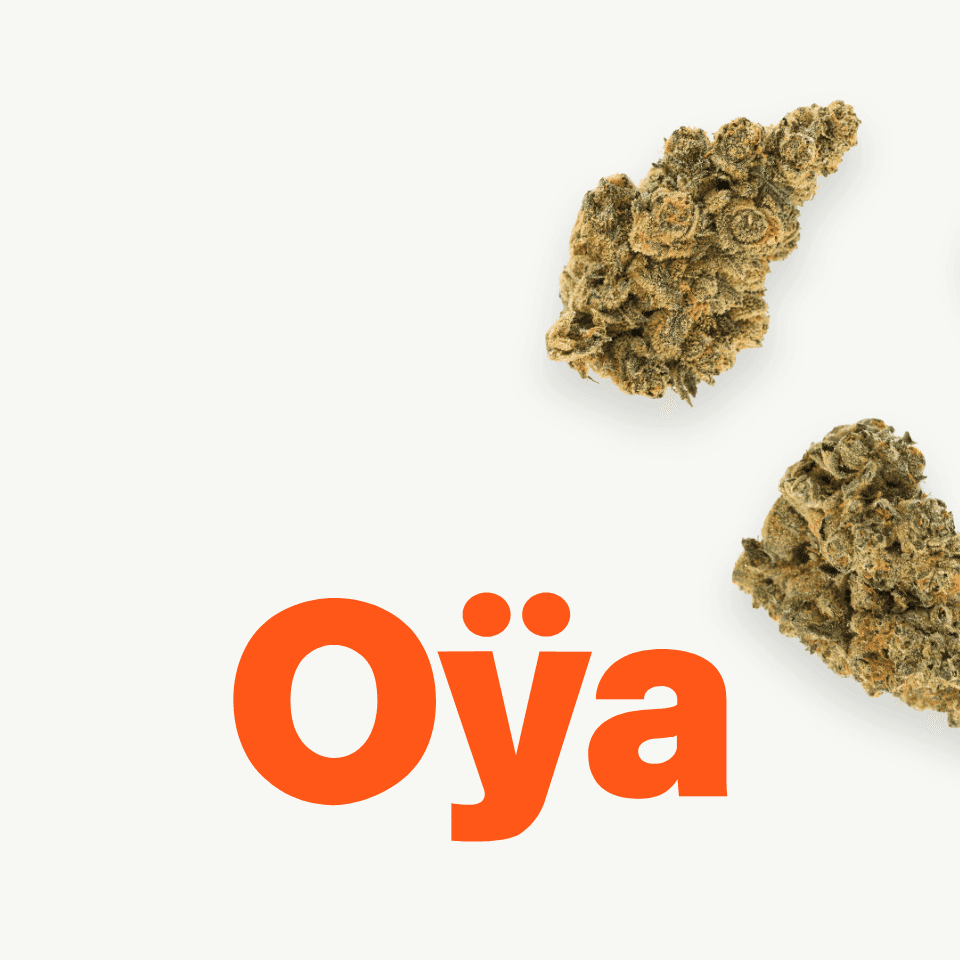 湯村輝彦 OYA-G LIGHT Vanilla & OYA-G OPENER OYA – A clean, flavour-led value brand curated for the German market