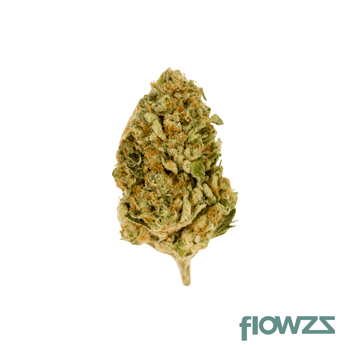 hidealz-18-1-ms-mco-mimosa-cookies-smalls