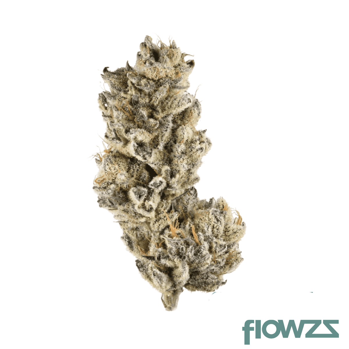 187-cannabisflower-fbp-thc-25-forbidden-punch