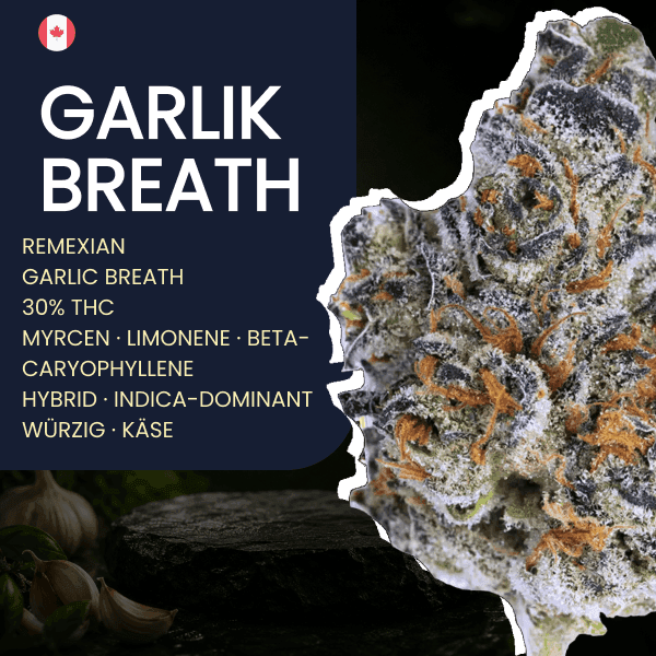 Remexian 30/1 CRN GRB Garlic Breath