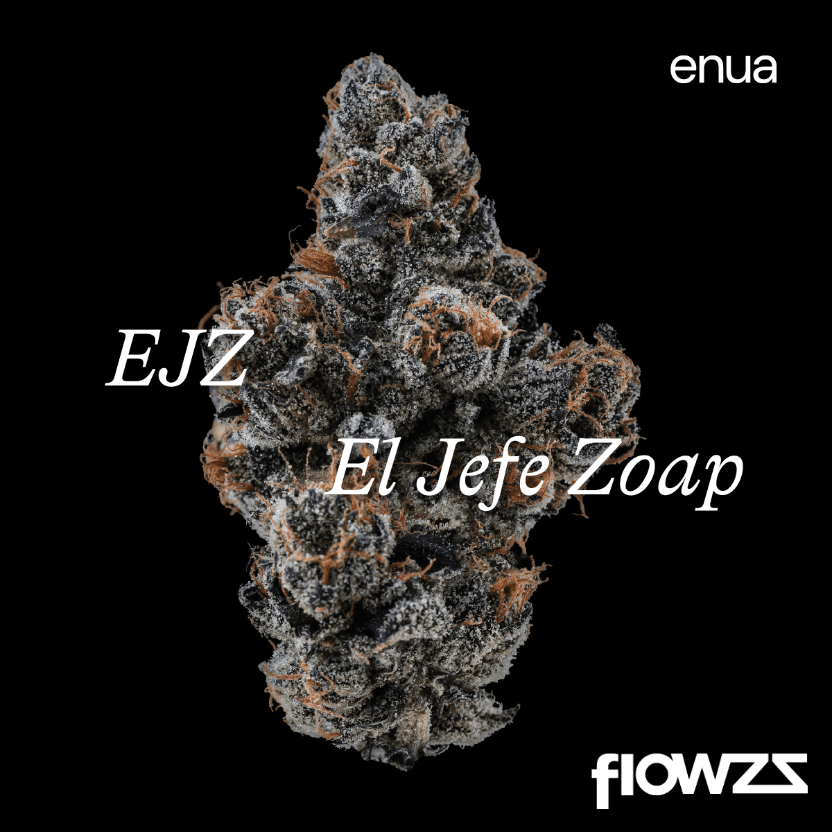 enua-30-1-ejz-ca-el-jefe-zoap