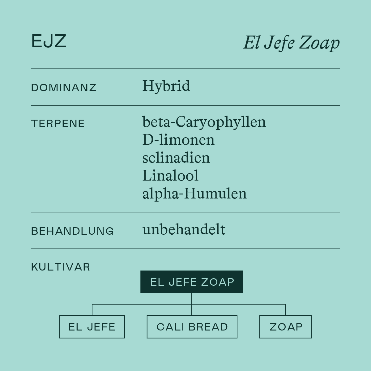 enua-30-1-ejz-ca-el-jefe-zoap