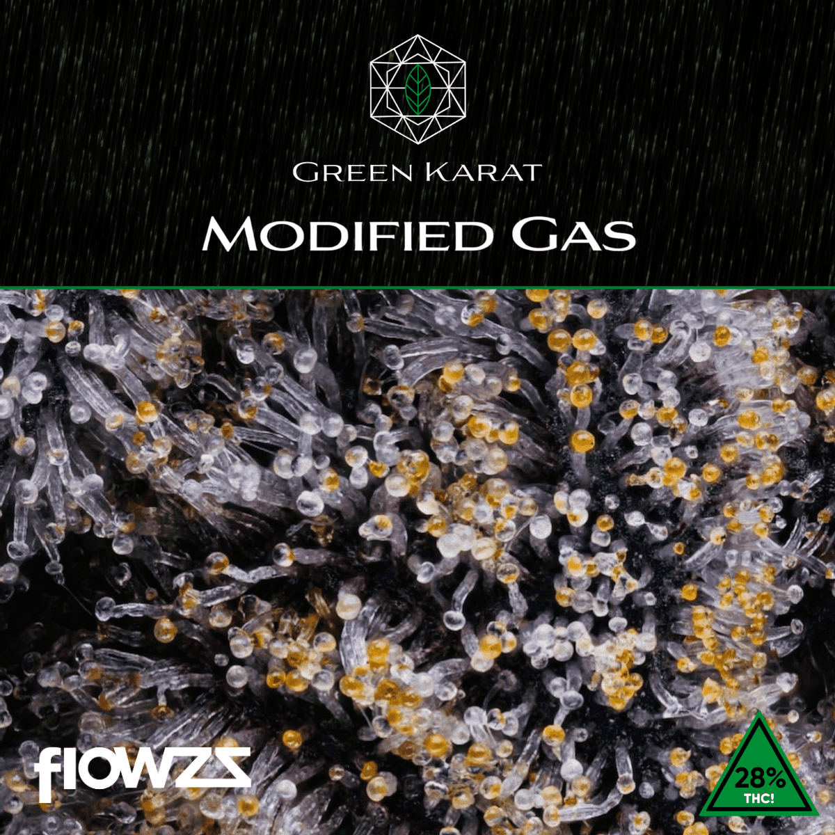 Green Karat MG 31/1 Modified Gas