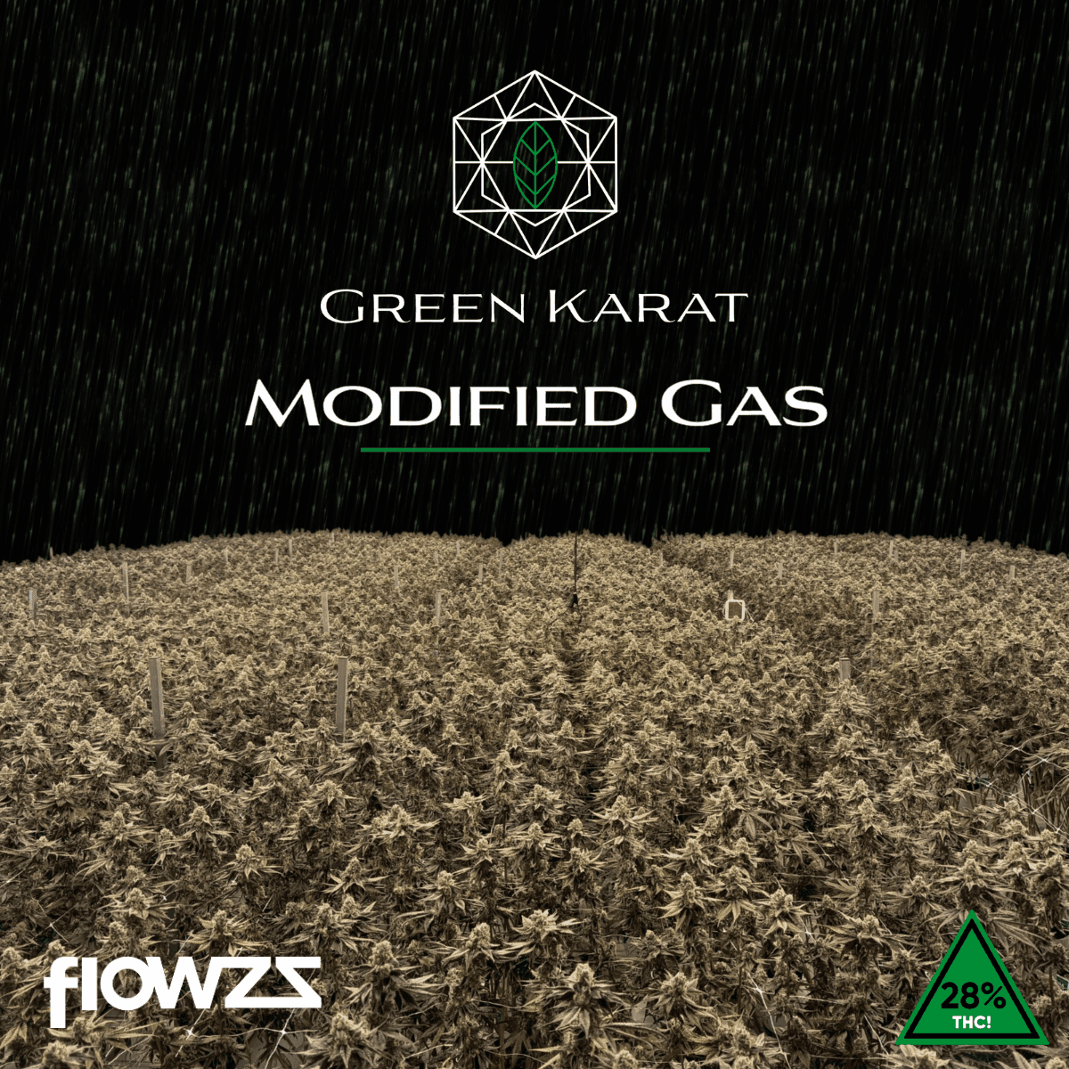 Green Karat MG 31/1 Modified Gas