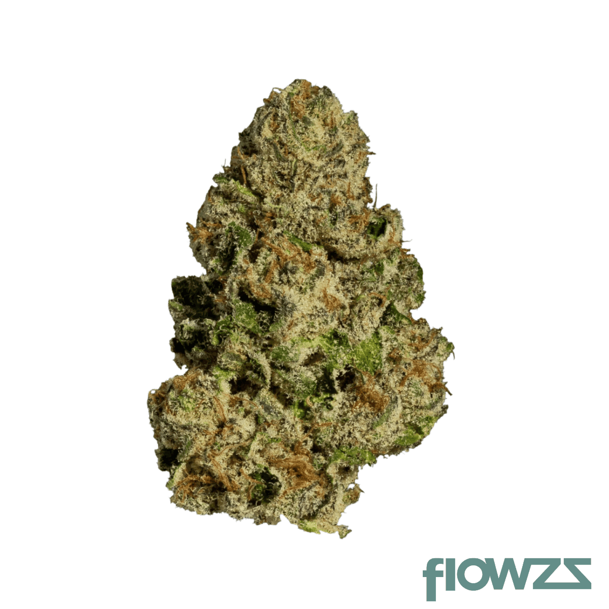 nice-26-1-nwa-new-waves
