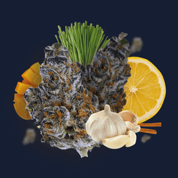 Remexian 30/1 CRN GRB Garlic Breath