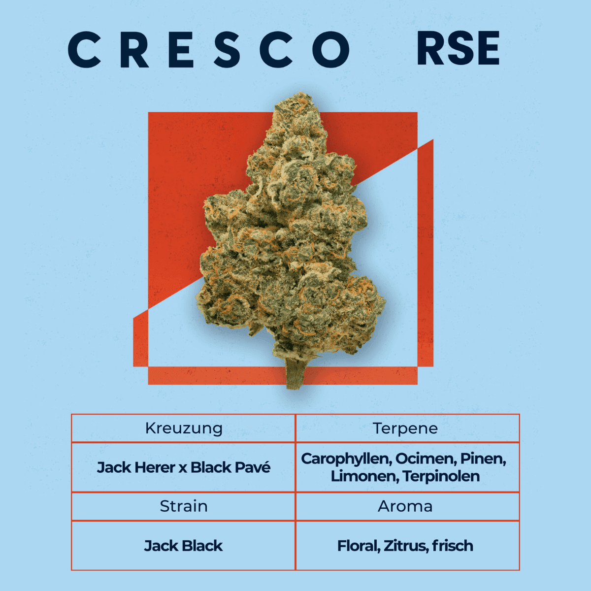 cresco-rse-27-1-jack-black-2