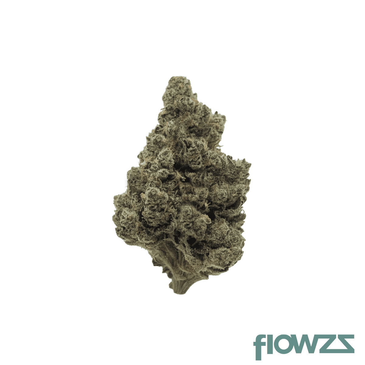 aayra-25-1-tsh-triangle-silver-haze