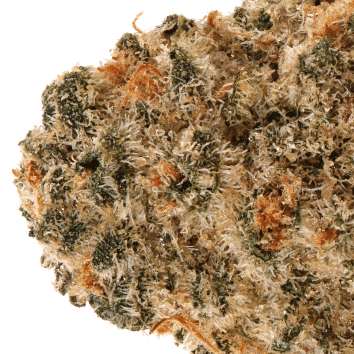 cannabis-27-1-cgd-ku-blue-slushie