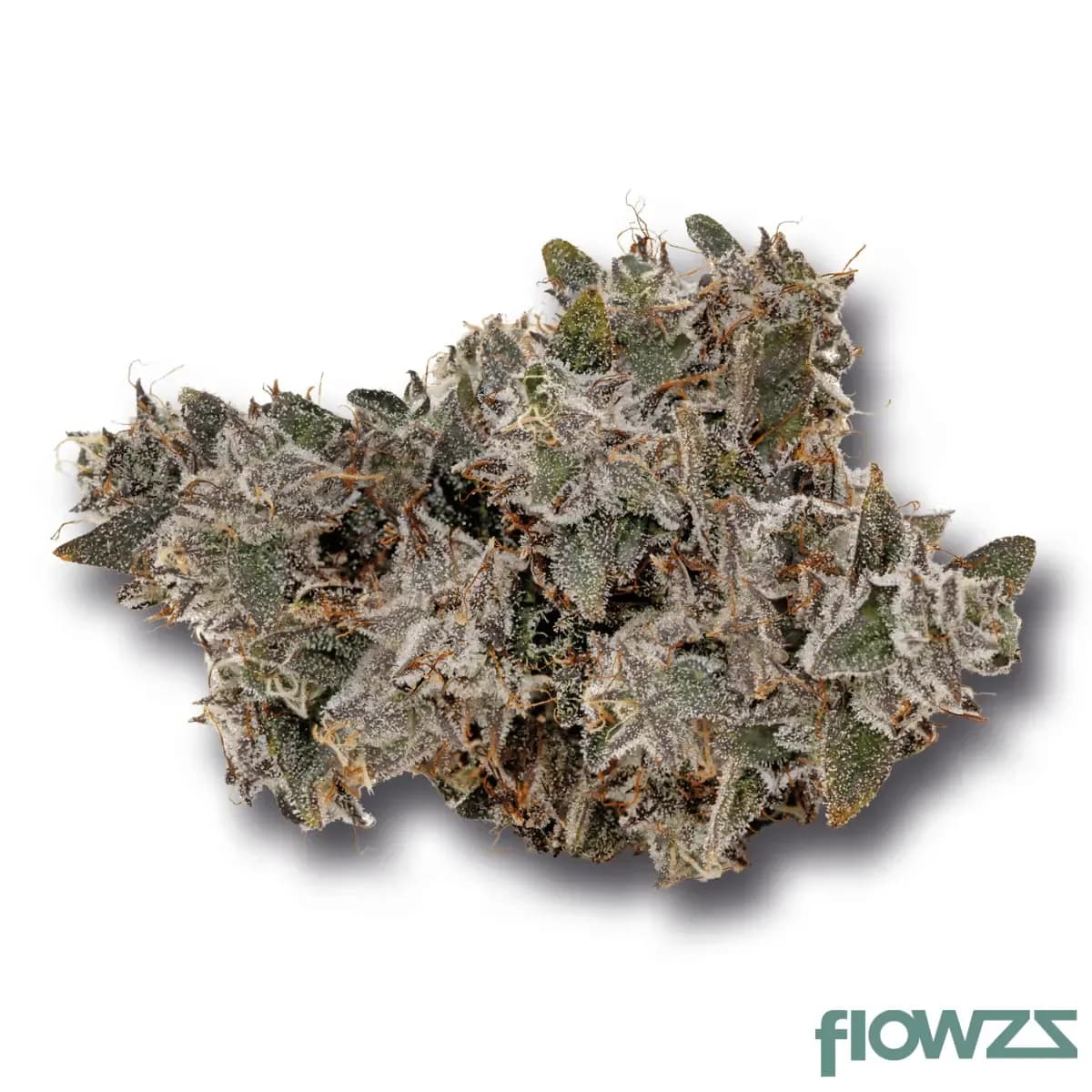 khiron-elg-33-1-el-gordon