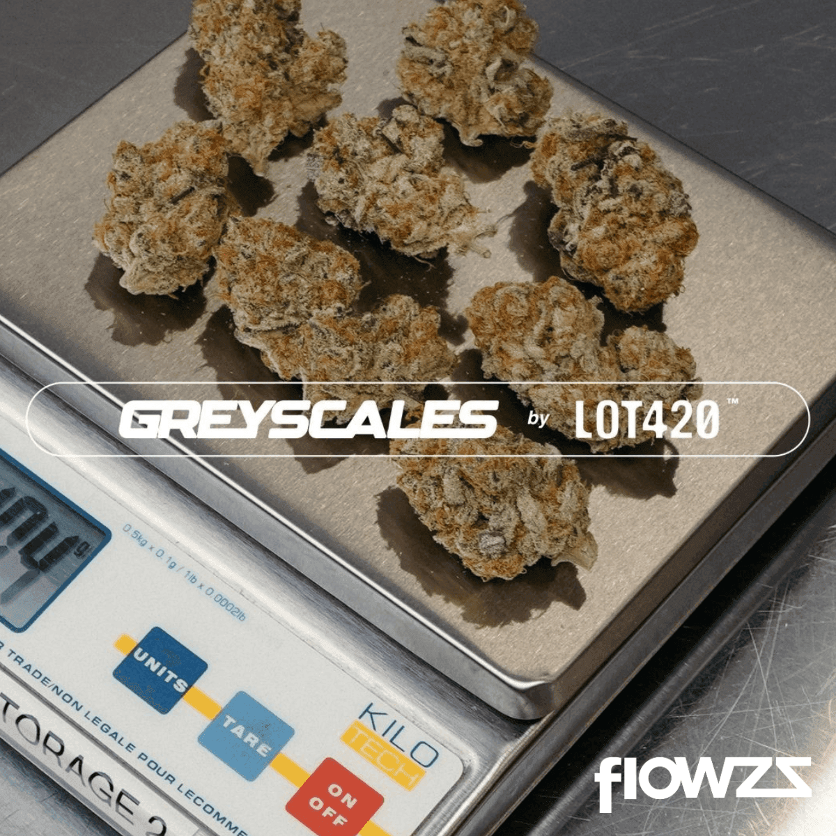 cantourage-26-1-greyscales-fj-flapjacks