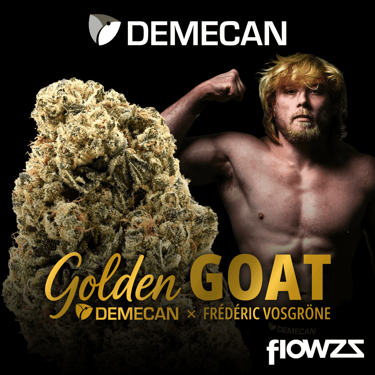 Demecan Core Golden Horizon 31:01 Golden Goat