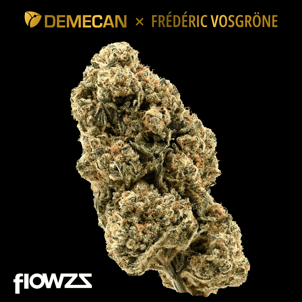 Demecan Core Golden Horizon 31:01 Golden Goat