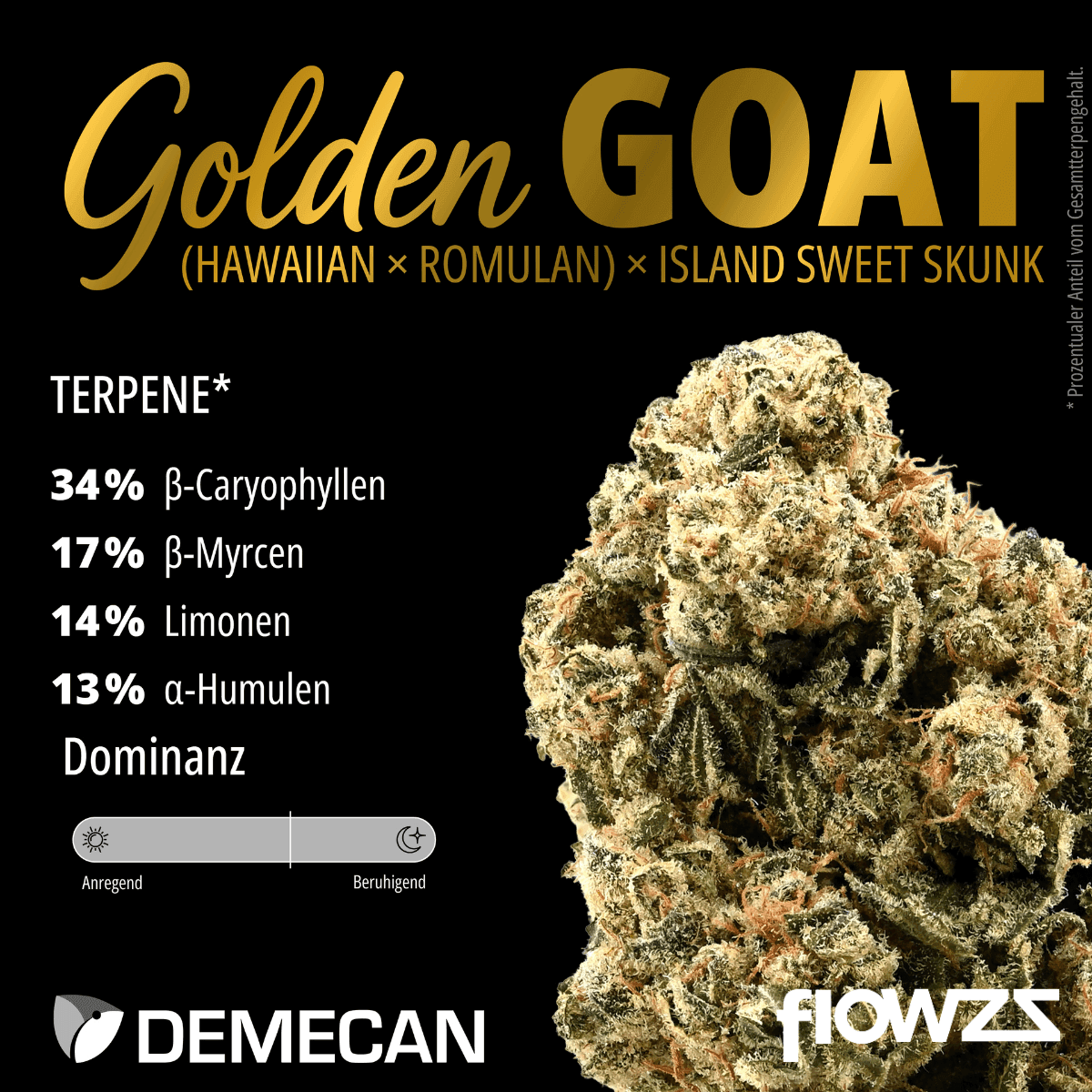 Demecan Core Golden Horizon 31:01 Golden Goat