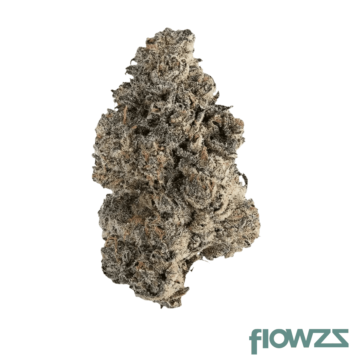 czechout-24-1-puo-purple-octane