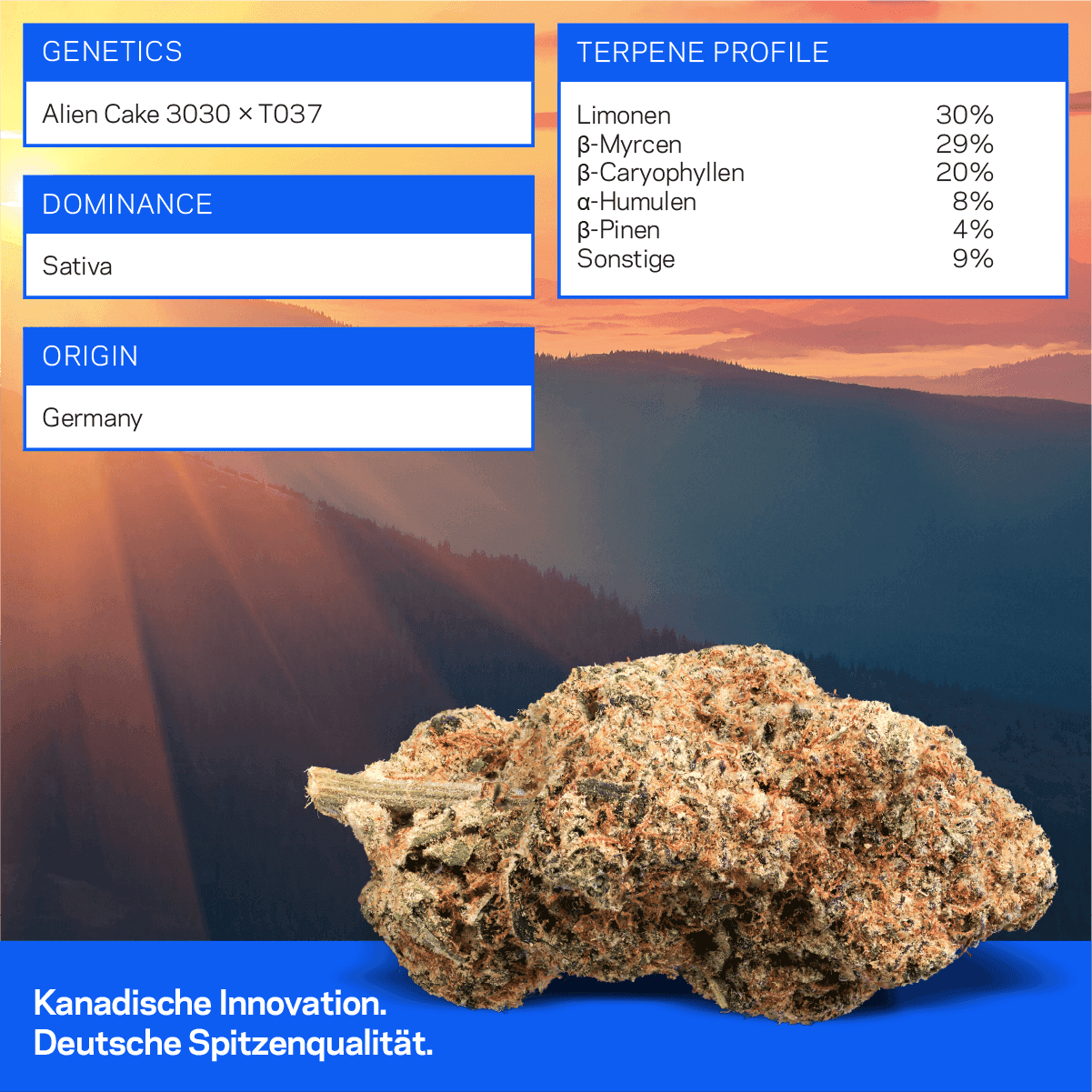  Aurora 27/1 GLY German Jelly