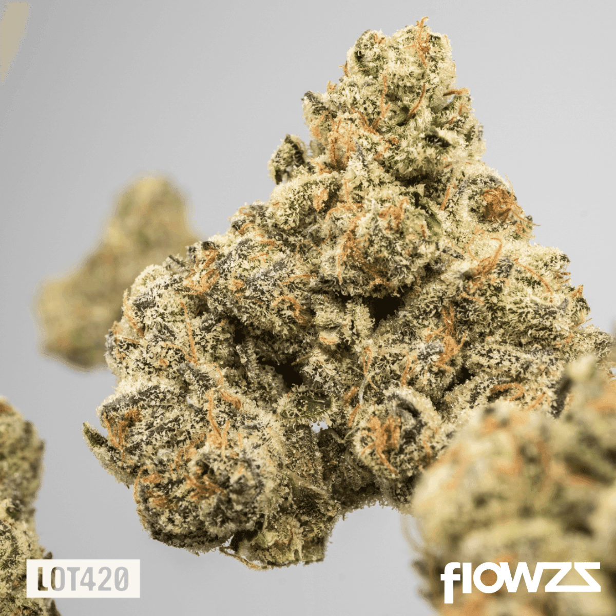 lot-420-gloc-gelato-x-orange-cake-3