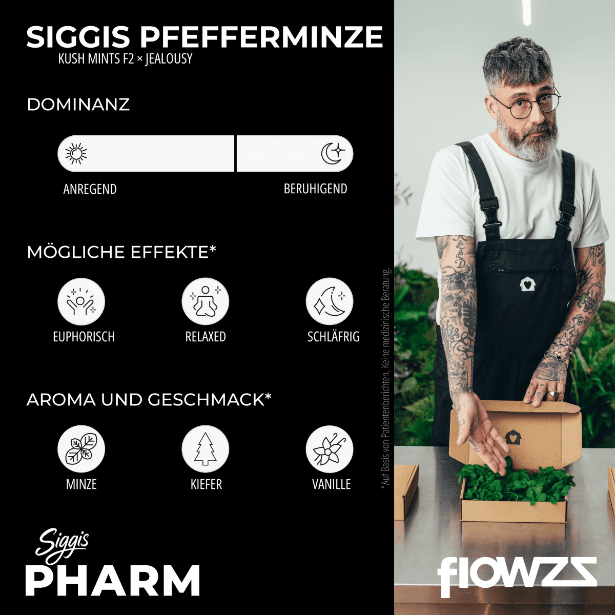 siggis-pmnz-28-01-siggis-pfefferminze