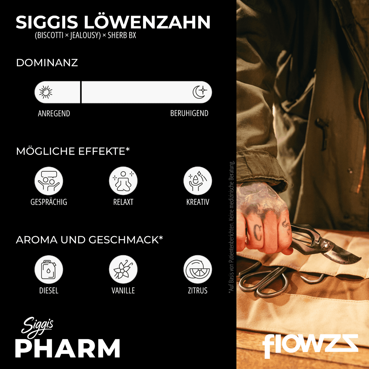 Siggis Löwenzahn Sido Cannabis