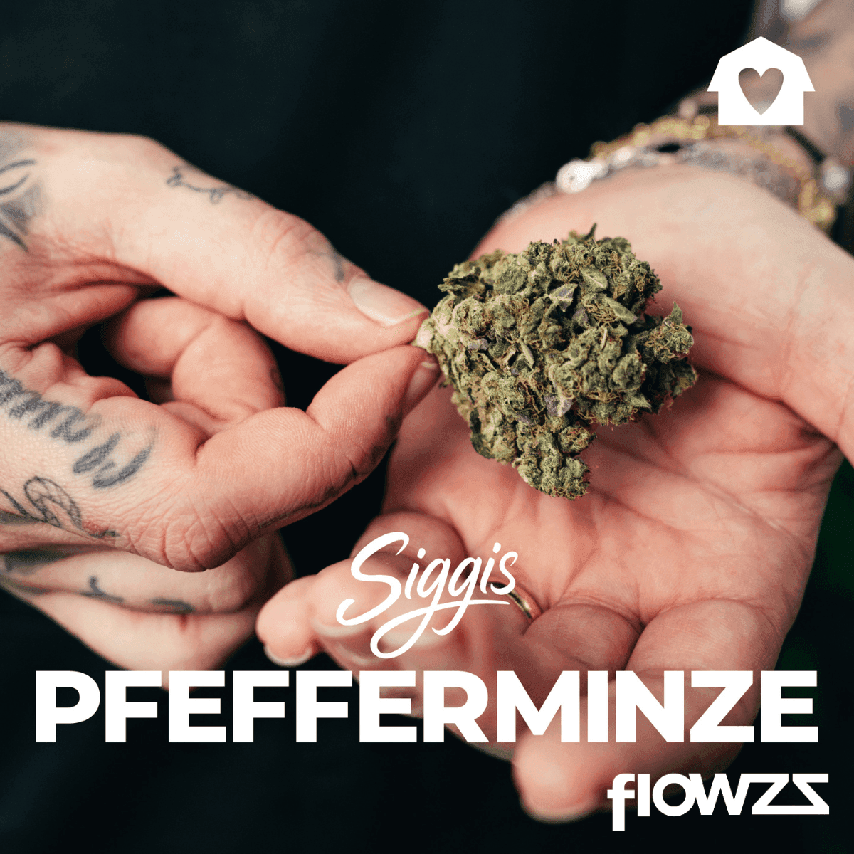 Siggis PMNZ 28:01 Siggis Pfefferminze