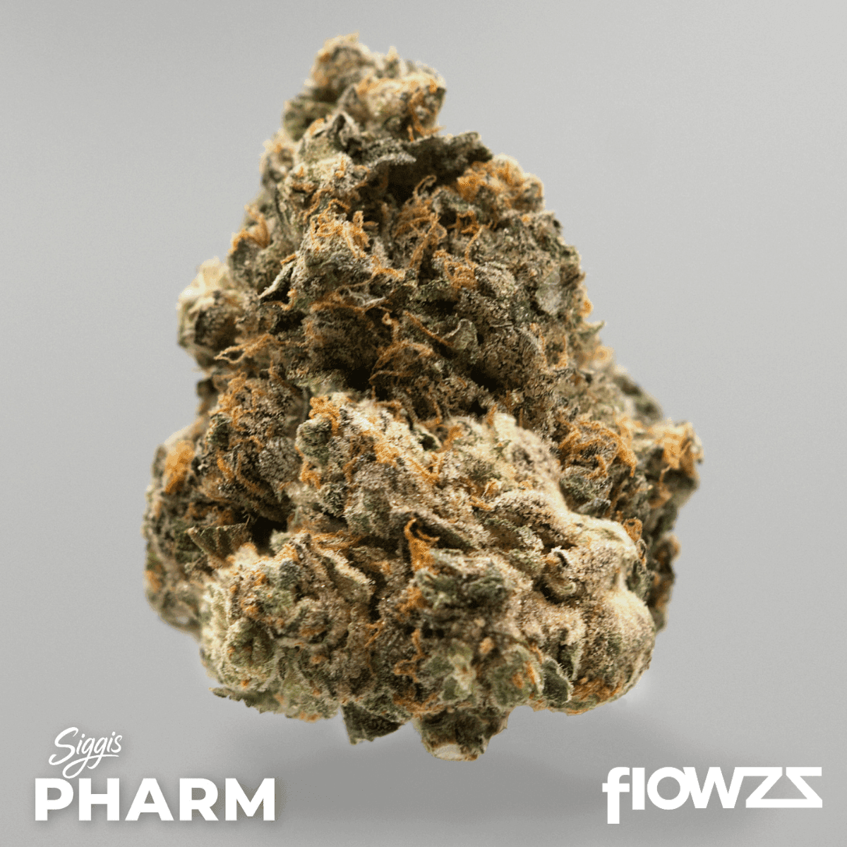 Siggis PMNZ 28:01 Siggis Pfefferminze