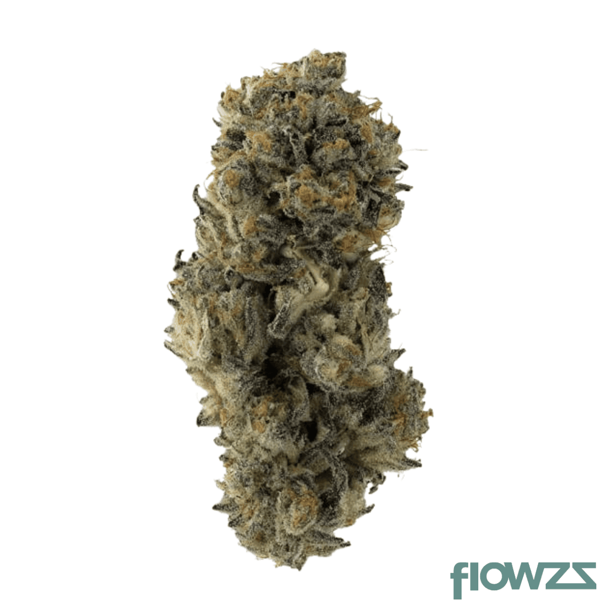 drwatson-26-tmc-aus-top-mints-cake