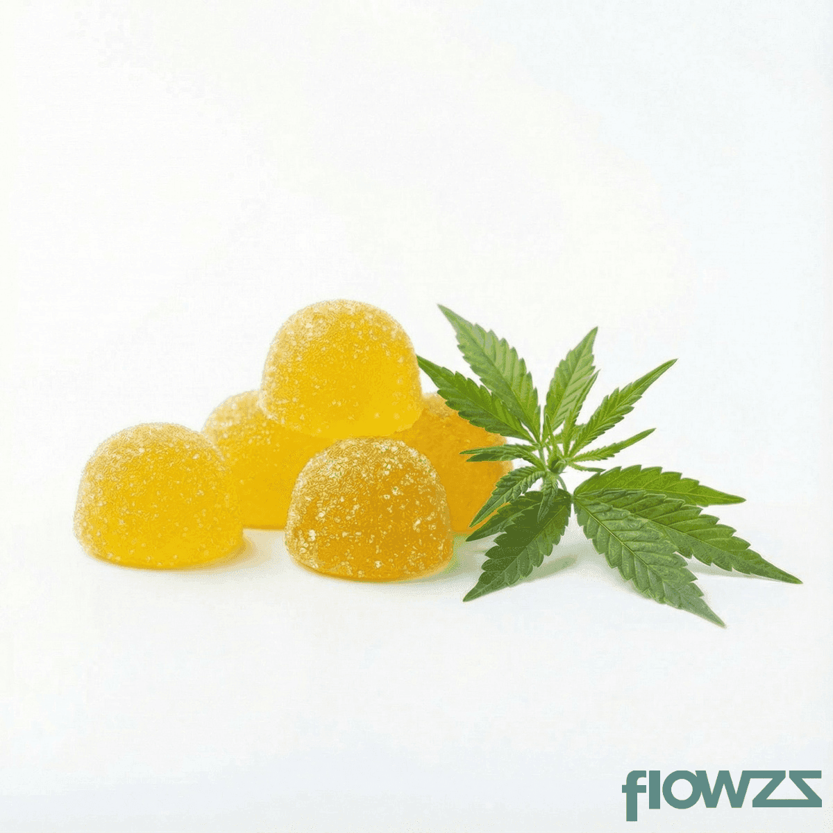 BiOG x JellyMed 5 THC Gummies