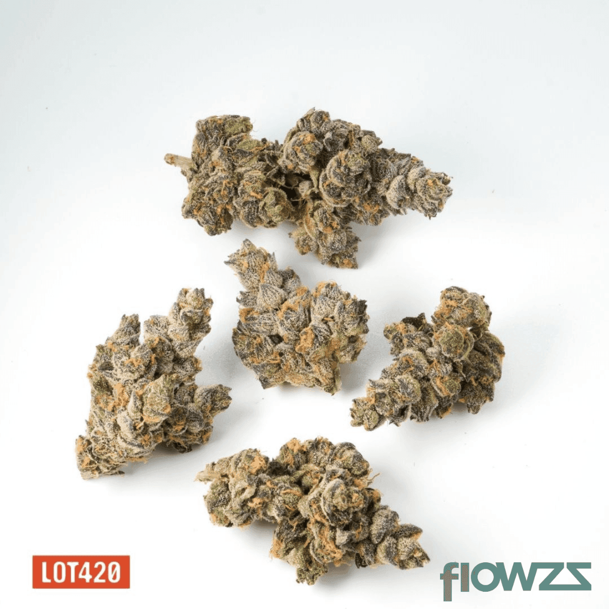 lot-420-ab-pt-apples-bananas