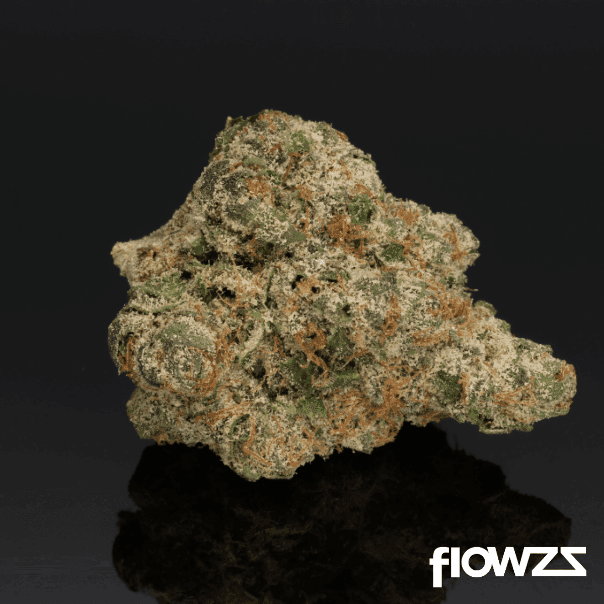 Casper’s No. 8 Poison Runtz 26/1