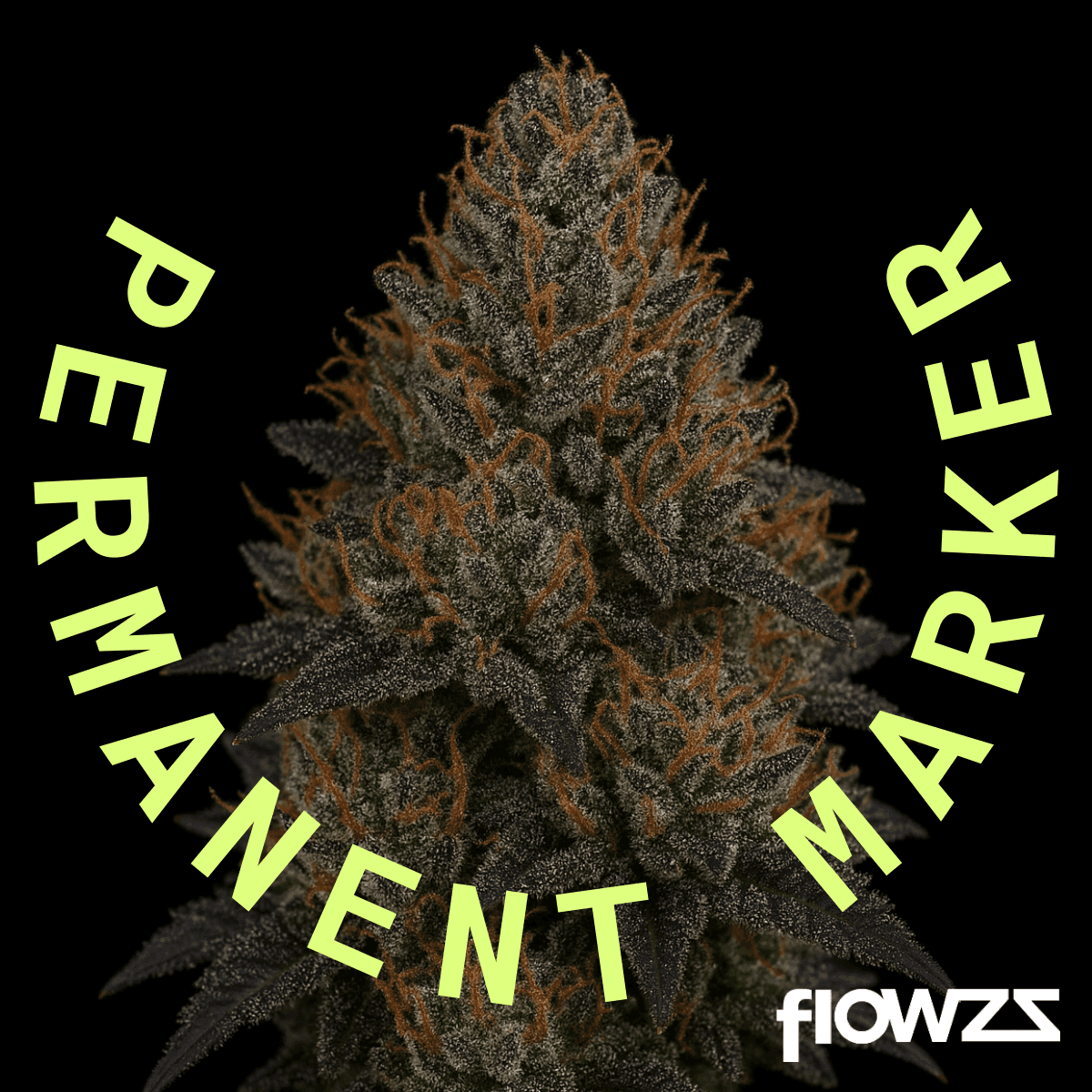 APEX PMK-PT 24/1 Permanent Marker