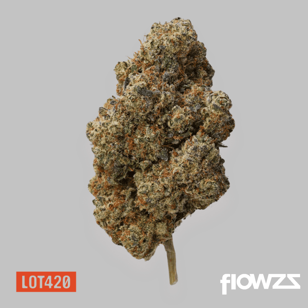 lot-420-gloc-gelato-x-orange-cake-4