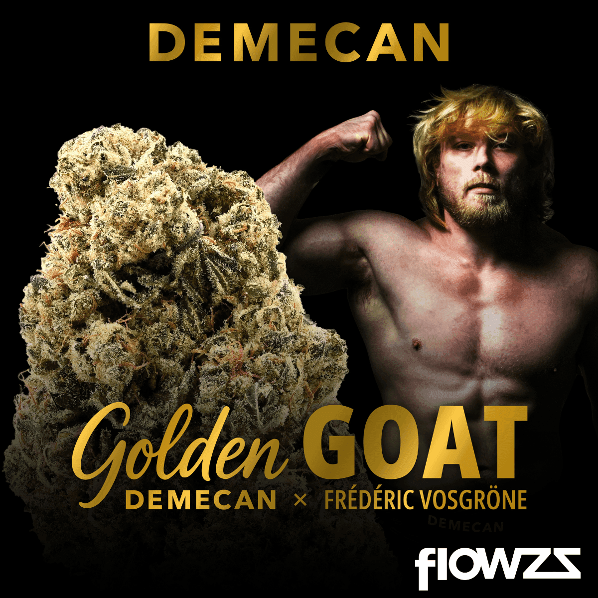 Demecan Core Golden Horizon 31:01 Golden Goat