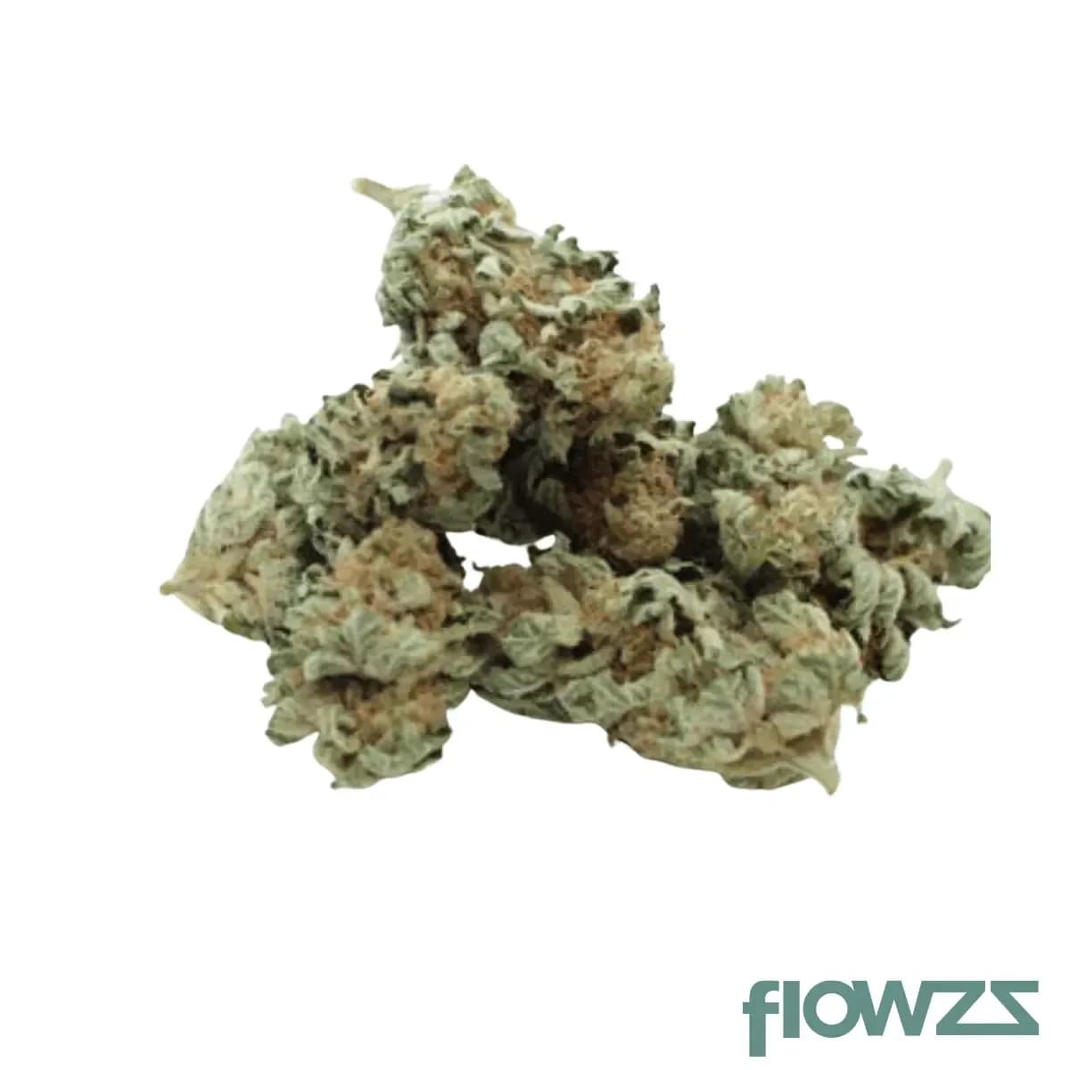 tweed-19-1-gelato-33