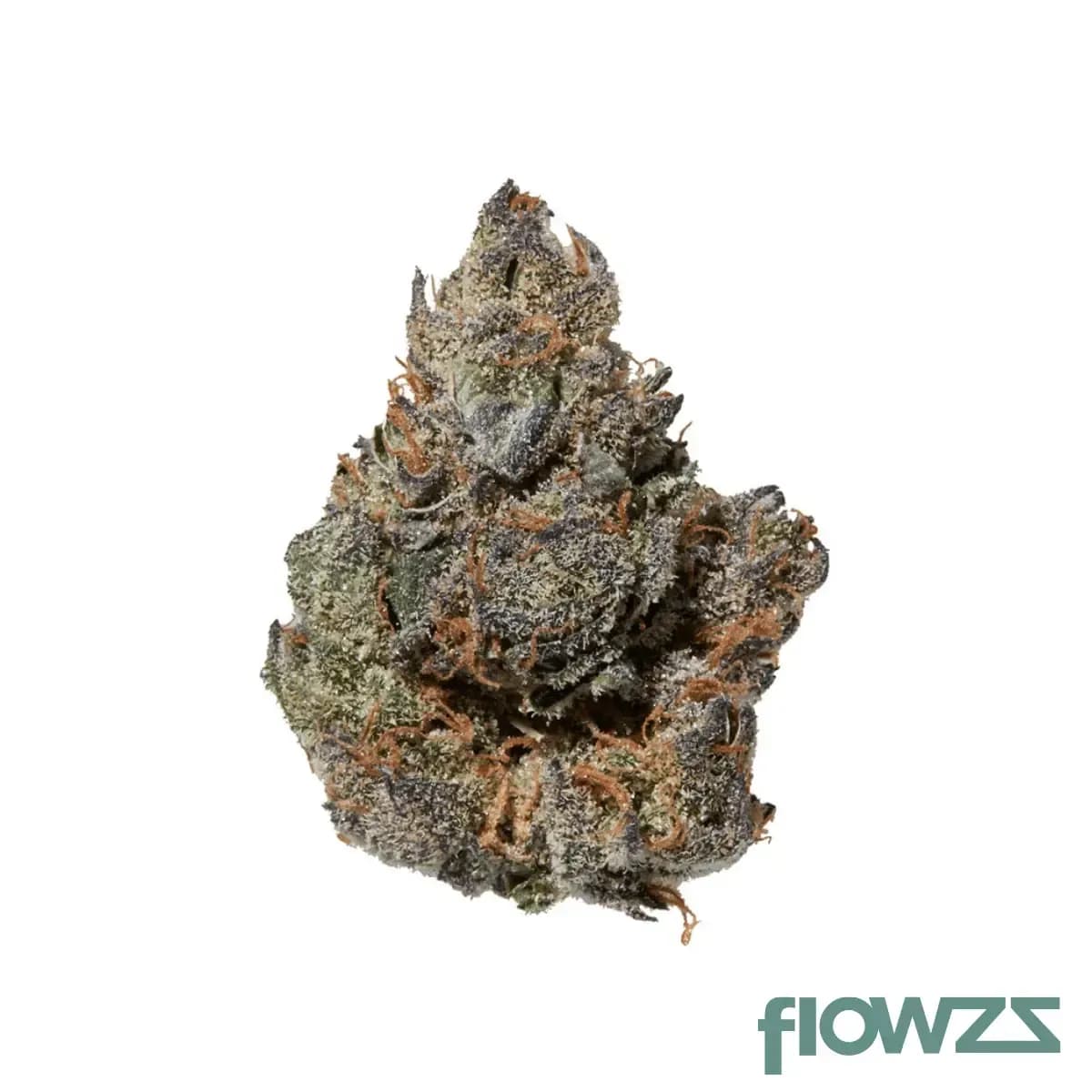 mgf-pop-up-no-21-candy-pave