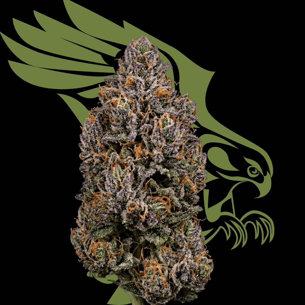 Apex DNC CA 35/1 Durban Nectar