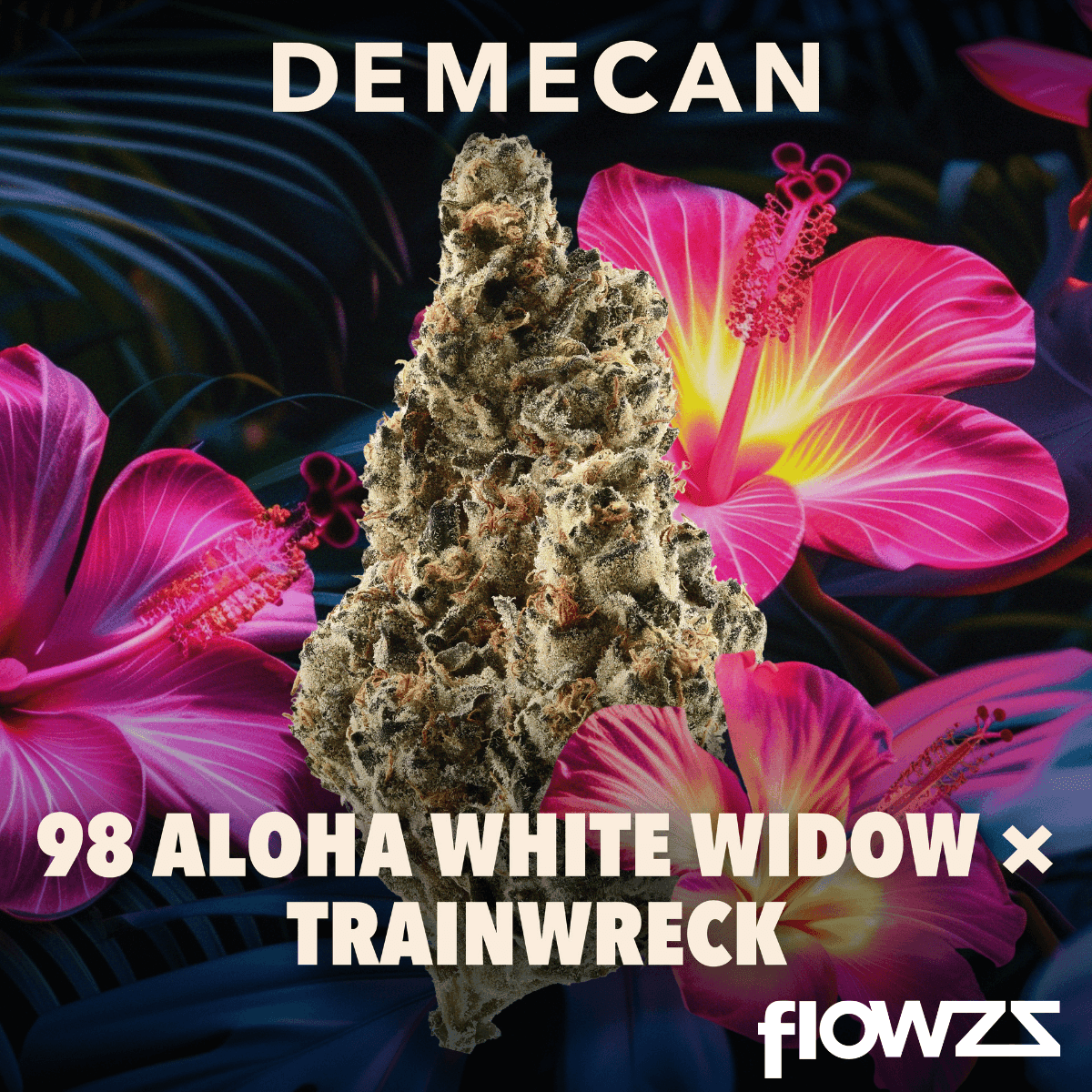  Demecan Craft Aloha 34/1 98 Aloha White Widow x Trainwreck
