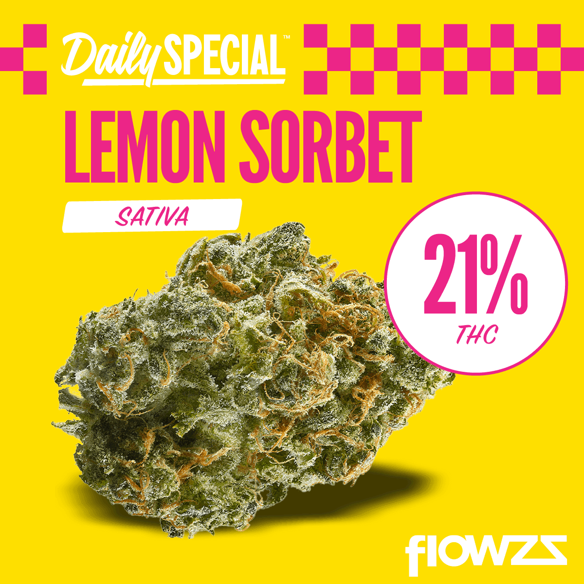 Daily Special 21/1 LES Lemon Sorbet