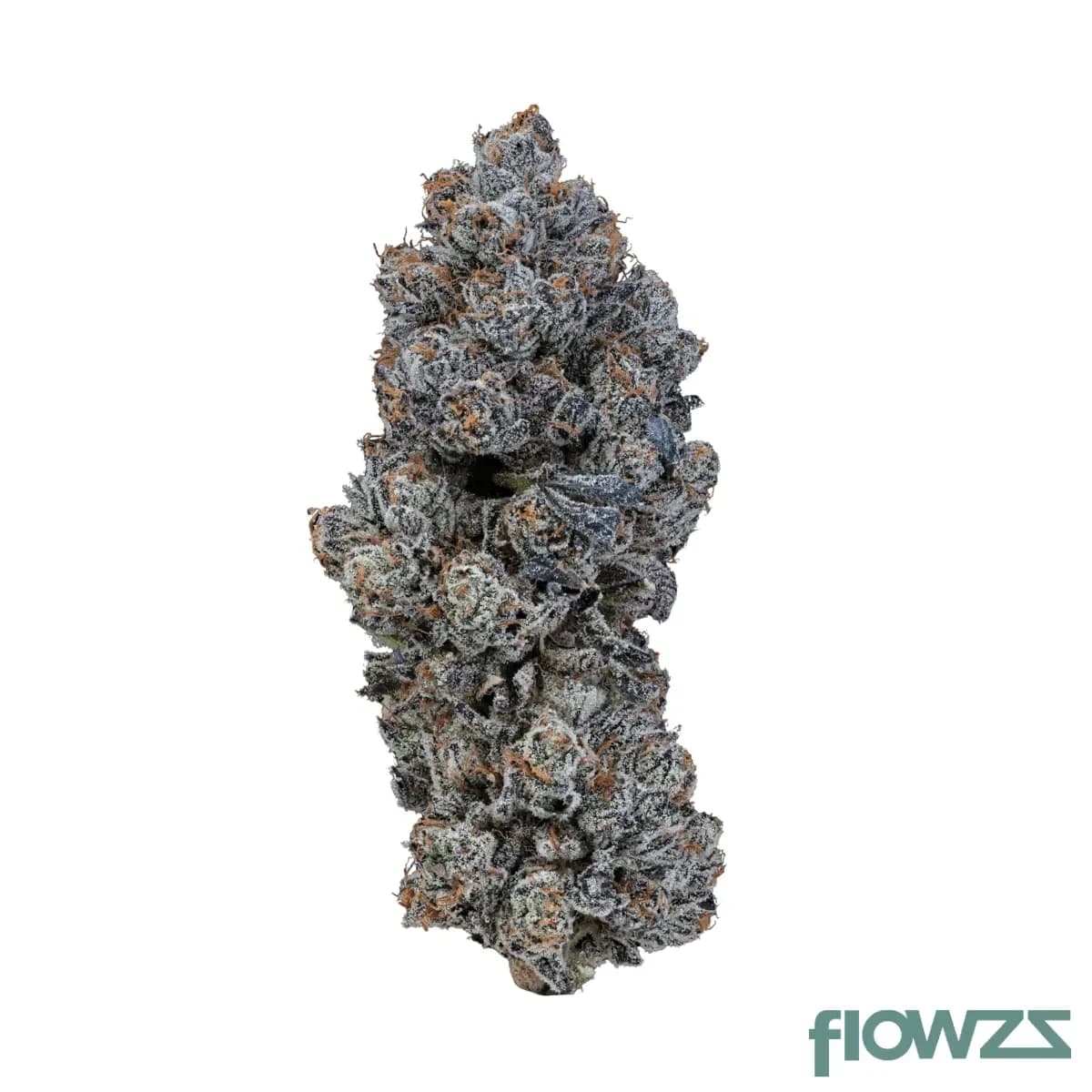 24-1-iuvo-oc-neutronium