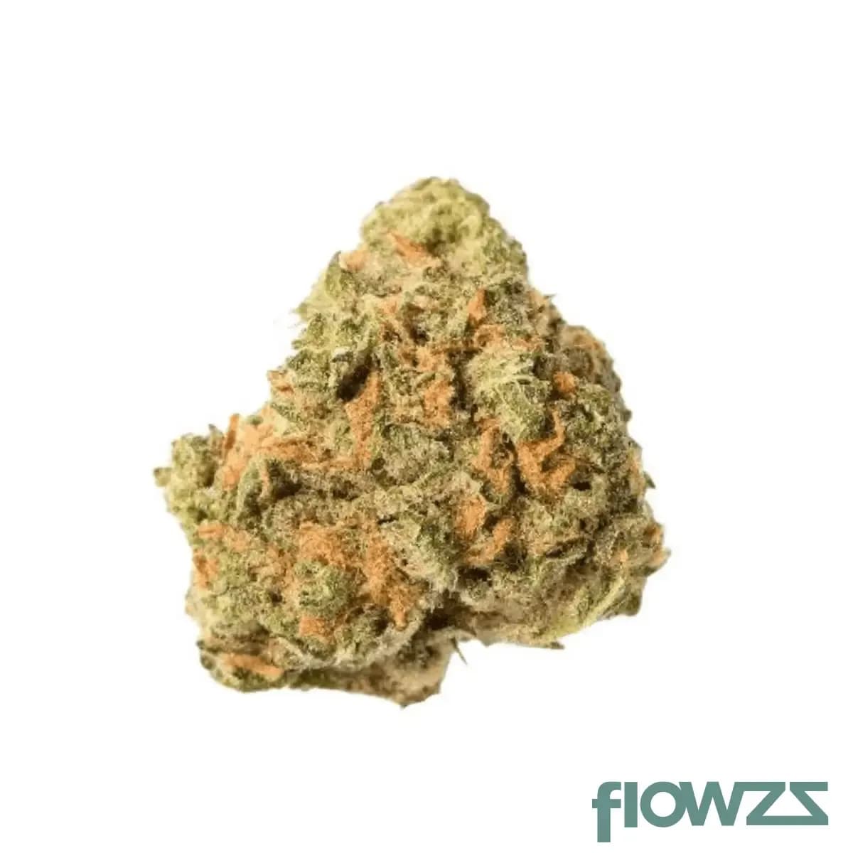 cannamedical-sativa-forte-es-nova