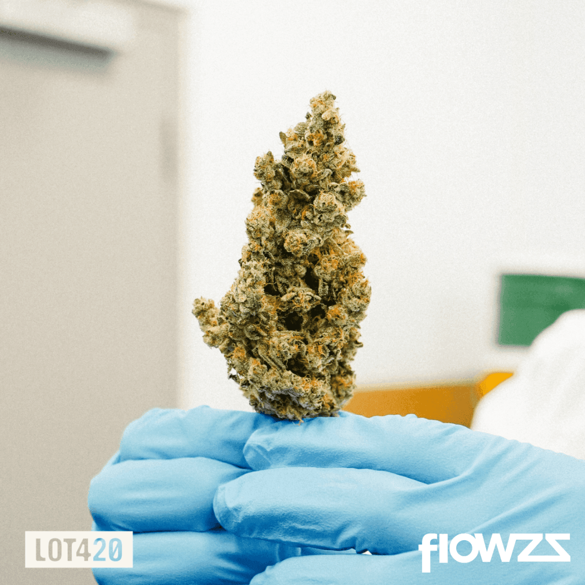 lot-420-gloc-gelato-x-orange-cake-6