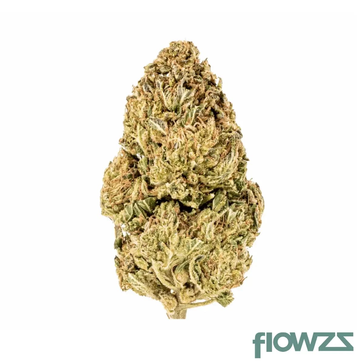 demecan-core-echo-27-1-cereal-milk