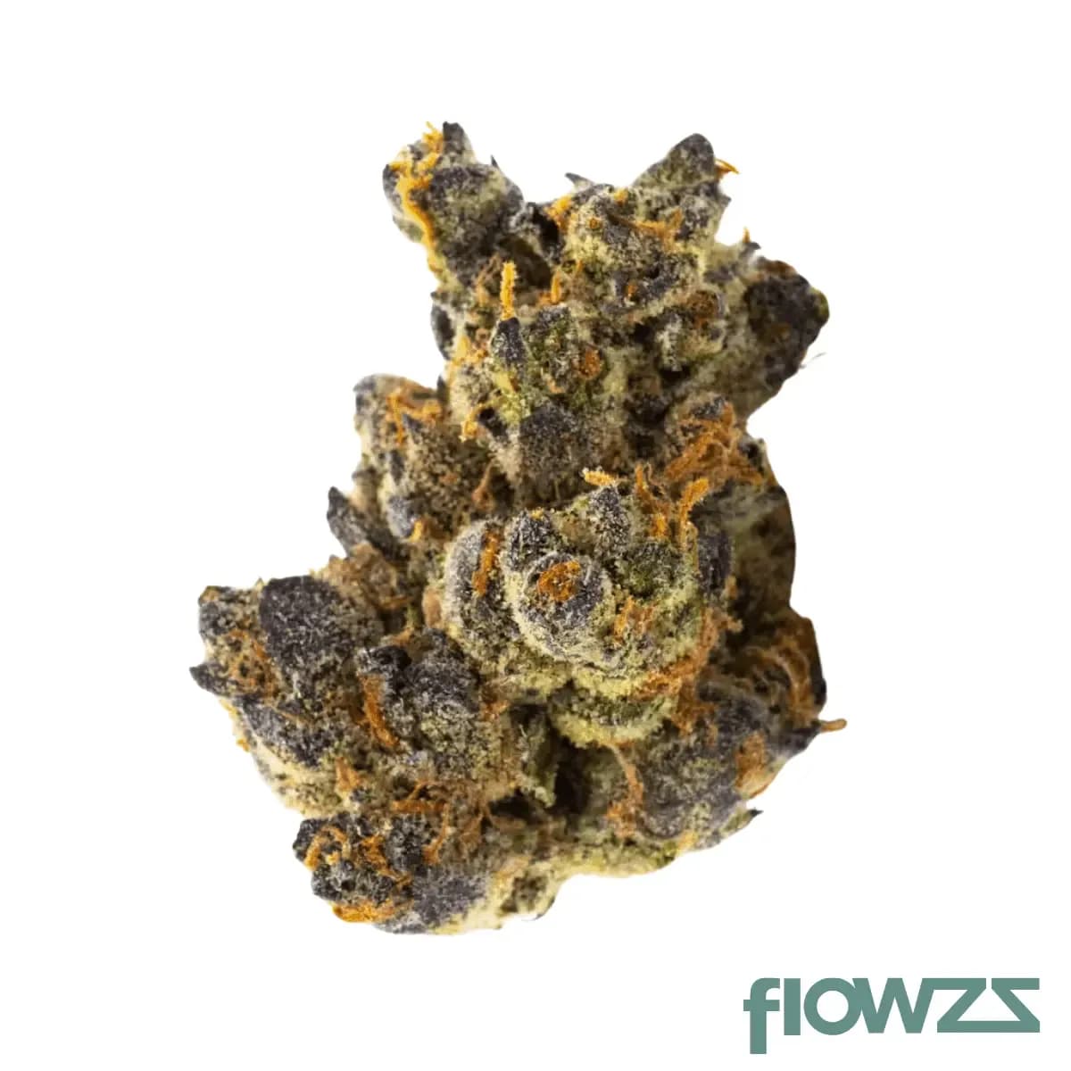 jr-strain-gp-smalls-25-1-gastro-pop