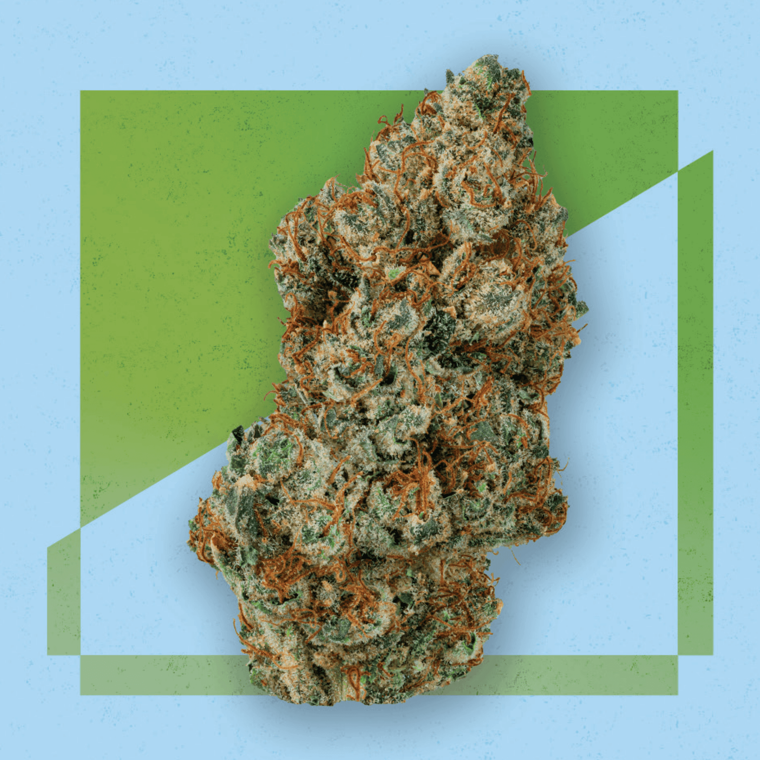 Cresco RFSH 28/1 Lemon Cherry Gelato