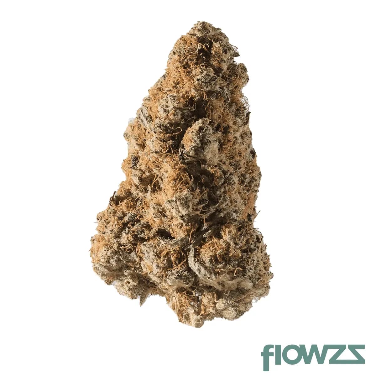 medical-saints-24-1-plc-platinum-garlic