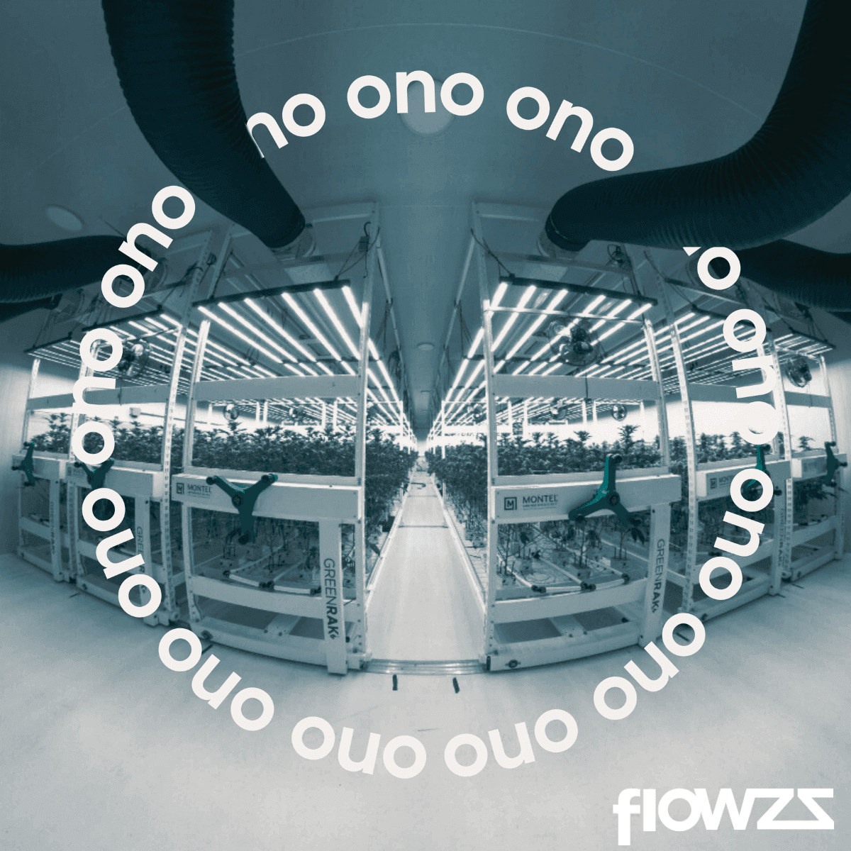 ono-astrono-25-1-rainbow-pie-4