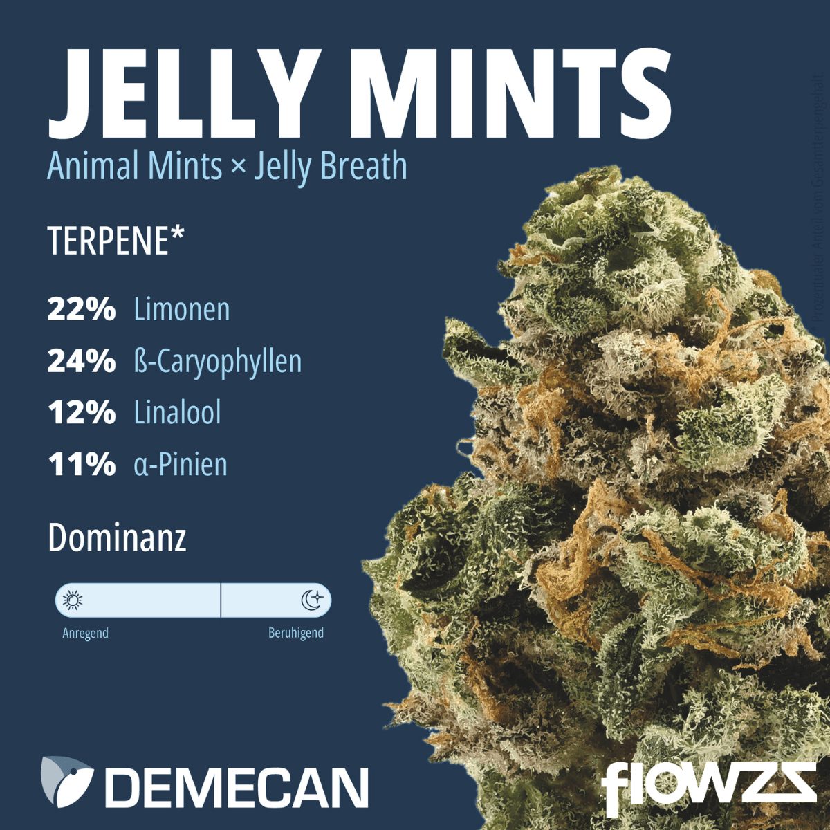 demecan-core-jm7-31-1-jelly-mints