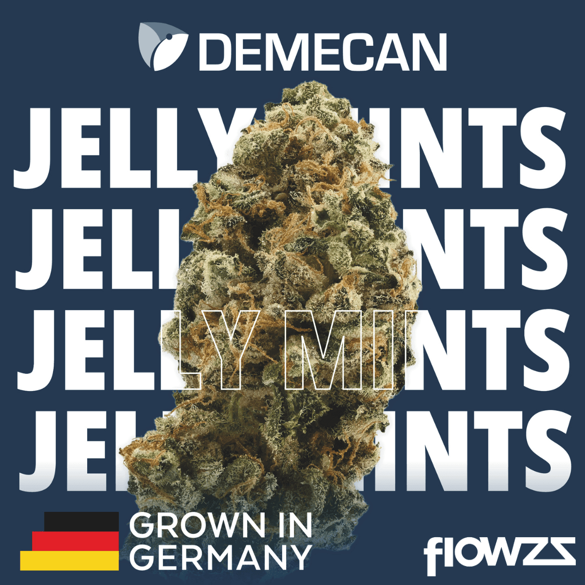 demecan-core-jm7-31-1-jelly-mints