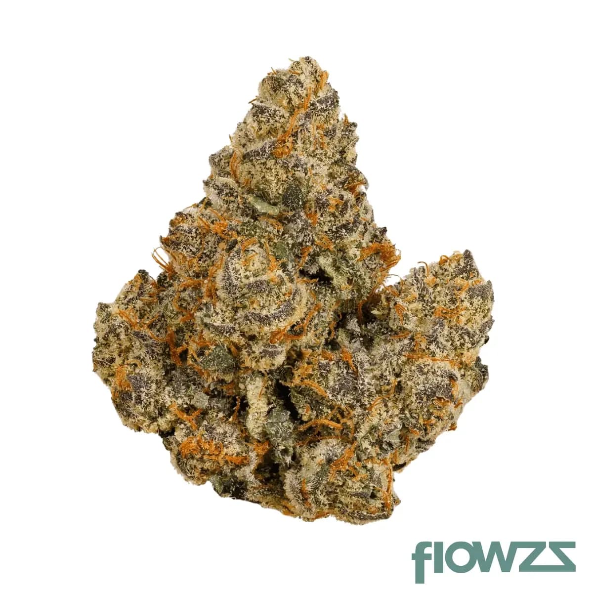 bathera-30-1-fa-facetz