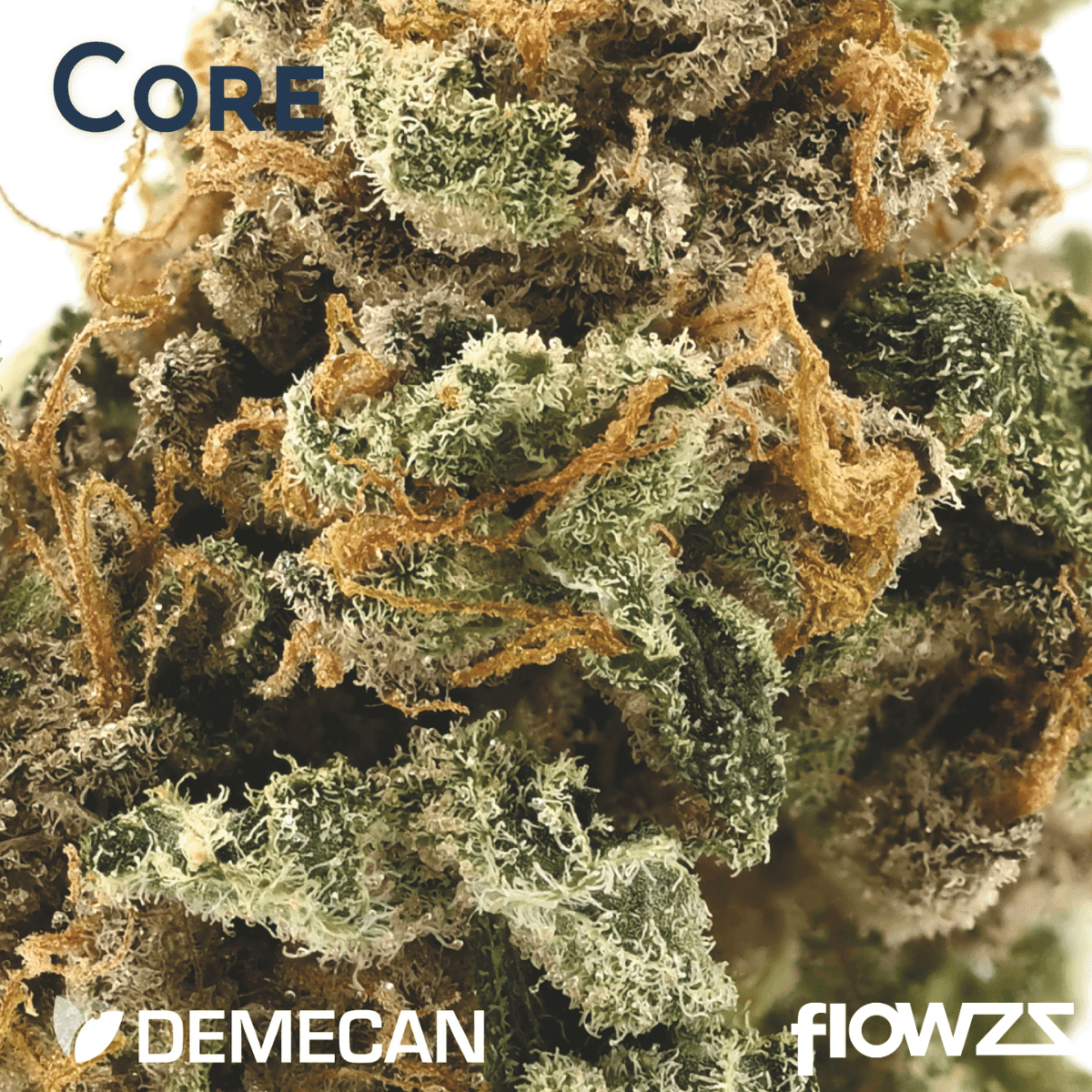 demecan-core-jm7-31-1-jelly-mints