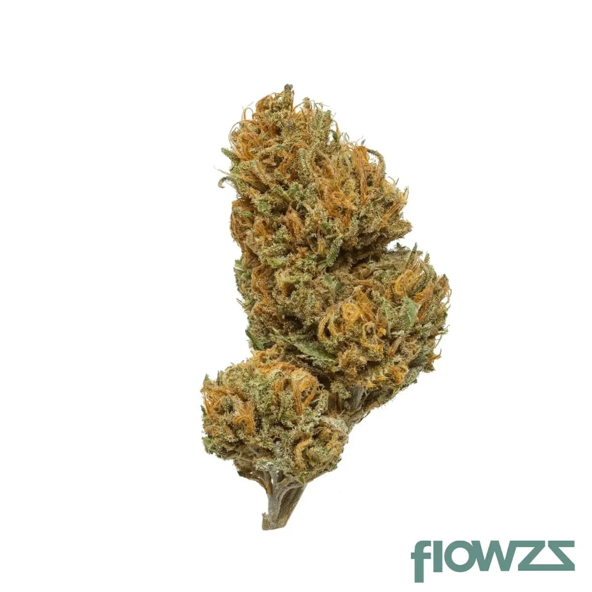 canify-cannabis-flos-10-12-ls-ku-basotho-even